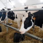 L’economia gironina tanca el primer trimestre amb una taxa d’atur del 9,57% i suma 8.500 desocupats més ocupació comarques gironines atur