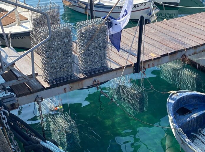 Biohuts Palamós