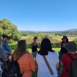 El Consell Comarcal impulsa un cicle de visites guiades accessibles Consell Comarcal del Baix Empordà