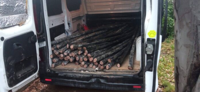 privat:-la-policia-local-de-palafrugell-dete-5-persones-per-robatori-de-coure