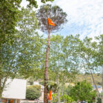 privat:-castell-d’aro-celebra-pasquetes