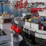 quinze-empreses-del-sector-d’economia-blava-analitzen-els-reptes-del-sector