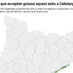 privat:-dos-de-cada-tres-municipis-costaners-tindran-platja-per-a-gossos-aquest-estiu