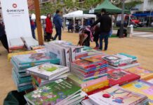 privat:-tot-a-punt-per-a-una-nova-edicio-de-la-fira-del-conte-de-palamos