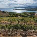 El Festival Terrer arriba per primer cop a l’Empordà amb música, patrimoni i vins