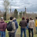 El Govern impulsa un projecte per millorar la qualitat dels sòls agrícoles i forestals irta mas badia projecte carboni