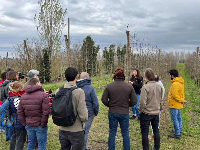 irta mas badia projecte carboni