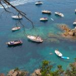 SOS Costa Brava alerta de fondejos sobre posidònia a Llafranc abans de l’inici de la temporada alta