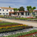 Palafrugell acollirà la primera Marxa Popular Tramuntana el 29 de juny Centre Tramuntana