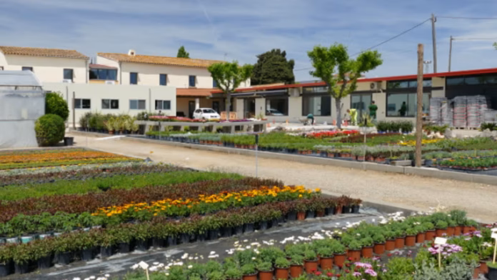 Centre Tramuntana