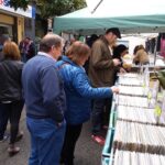 Palamós celebra la Mostra del Disc Antic aquest dissabte als Jardins de l’1 d’octubre fira del disc palamós