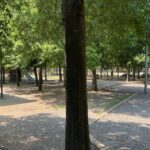 privat:-la-bisbal-inverteix-92.000-euros-en-renovar-els-parcs-infantils