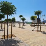 privat:-s’obre-a-l’us-public-el-primer-tram-del-passeig-del-mar-on-ja-s’han-enllestit-les-obres-de-reforma-integral