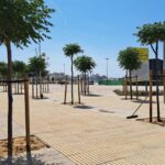 Palamós obre el primer tram reformat del passeig del Mar coincidint amb l’inici de les Barraques privat:-palamos-obre-el-primer-tram-renovat-del-passeig-del-mar