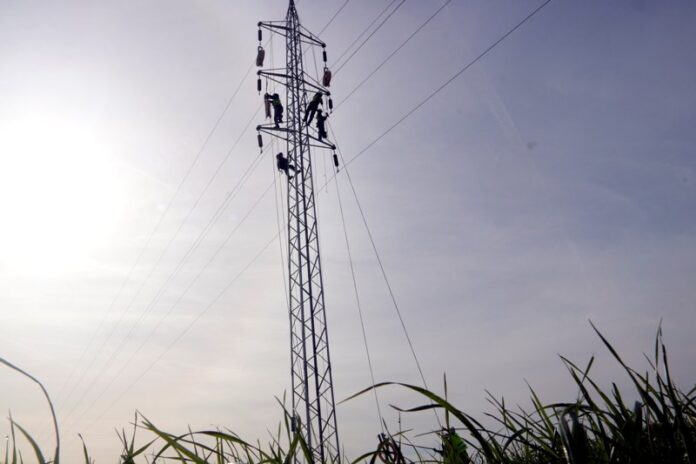 privat:-endesa-acorda-amb-l’ajuntament-que-reforcara-la-xarxa-electrica-a-palafrugell privat:-endesa-acorda-amb-l’ajuntament-que-reforcara-la-xarxa-electrica-a-palafrugell