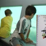 privat:-impulsen-un-projecte-d’educacio-mediambiental-sobre-les-illes-medes
