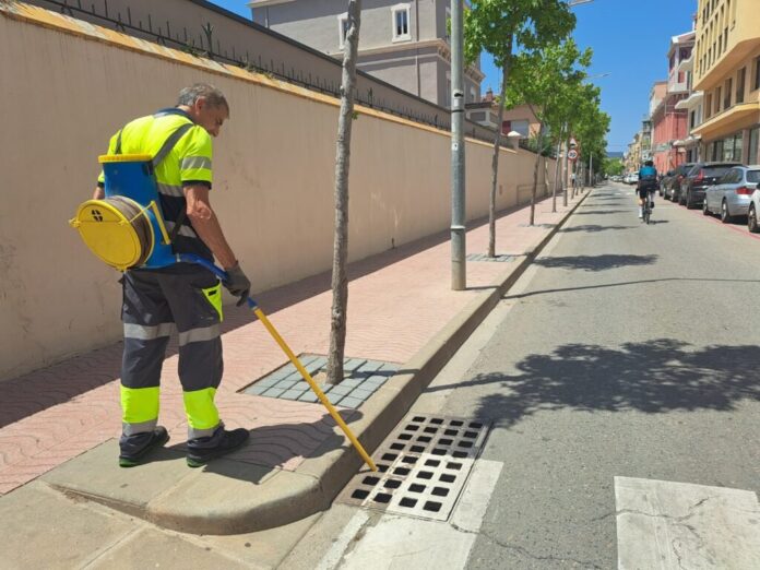 privat:-l’area-de-medi-ambient-implementa-mesures-complementaries-per-a-la-prevencio-del-mosquit-tigre privat:-l’area-de-medi-ambient-implementa-mesures-complementaries-per-a-la-prevencio-del-mosquit-tigre