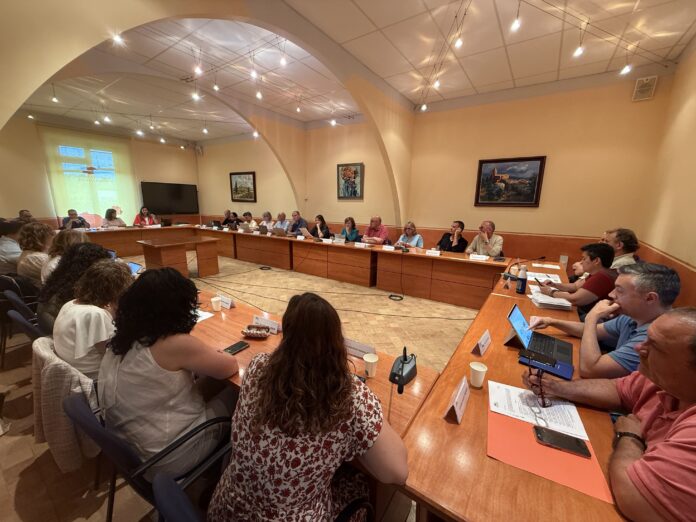 ple consell comarcal