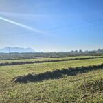 Tornen els dies típics d’estiu al Baix Empordà