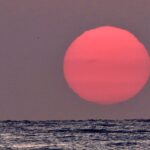 Continua el temps càlid per l’època