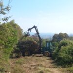 El Consorci de les Gavarres restitueix 11 hectàrees d’eucaliptus per recuperar la sureda autòctona consorci de les gavarres