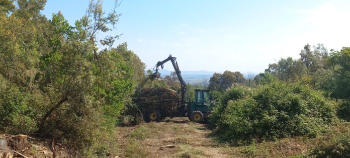 consorci de les gavarres