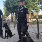 privat:-la-policia-local-de-torroella-incorpora-gossos-per-detectar-drogues