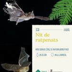 privat:-nit-de-ratpenats-a-vall-llobrega