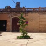 privat:-la-placa-del-rei-de-torroella-de-montgri-es-transforma-en-un-espai-lliure-de-cotxes-i-mes-accessible
