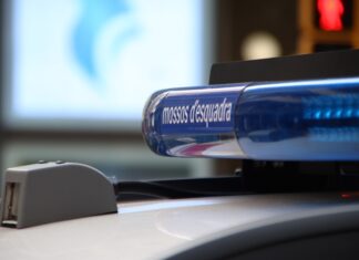 A presó dos lladres per setze robatoris a empreses de l’Empordà, la Selva i el Gironès fent servir furgonetes robades privat:-els-mossos-detenen-a-pals-un-home-de-43-anys-buscat-a-russia-per-terrorisme