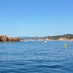 privat:-l’ajuntament-de-palafrugell-installa-boies-gratuites-per-protegir-la-posidonia