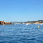 privat:-l’ajuntament-de-palafrugell-installa-boies-gratuites-per-protegir-la-posidonia