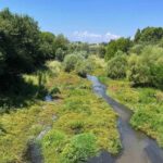 Una avaria a la depuradora de Castell d’Aro aboca aigües brutes al riu Ridaura privat:-milloren-quatre-quilometres-del-riu-ridaura-al-seu-pas-per-castell-d’aro,-platja-d’aro-i-s’agaro