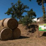 privat:-la-diputacio-de-girona-crea-un-itinerari-autoguiat-a-monells-per-explicar-les-actuacions-del-projecte-life-agroforadapt