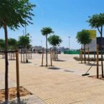 privat:-palamos-aprova-la-segona-fase-de-reforma-del-passeig-amb-la-regeneracio-de-la-platja-gran