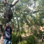 privat:-un-centenar-de-persones-participa-en-la-primera-edicio-del-carnet-estatal-de-pelador-de-suro-que-impulsa-el-projecte-futurecork