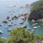privat:-sos-costa-brava-s’uneix-a-una-coalicio-d’organitzacions-per-reclamar-una-regulacio-mes-estricta-del-litoral-i-protegir-ne-els-usos-sostenibles