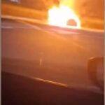 privat:-s’incendia-un-cotxe-a-vall-llobrega-i-les-flames-afecten-una-tanca-de-xiprers