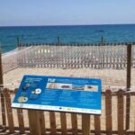 privat:-els-ous-de-la-tortuga-de-platja-d’aro-no-estan-fecundats