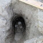 privat:-una-tortuga-careta-pon-105-ous-a-la-platja-dels-griells-de-l’estartit,-el-quart-niu-de-l’estiu-a-la-costa-brava