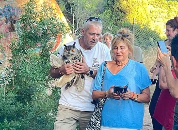 Grup Natura Sterna Sant feliu duc