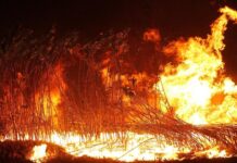El Govern posa en marxa la campanya «FOC és FOC» per prevenir els incendis forestals abans de Sant Joan