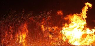 El Govern posa en marxa la campanya «FOC és FOC» per prevenir els incendis forestals abans de Sant Joan