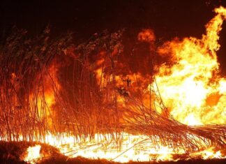 El Govern posa en marxa la campanya «FOC és FOC» per prevenir els incendis forestals abans de Sant Joan