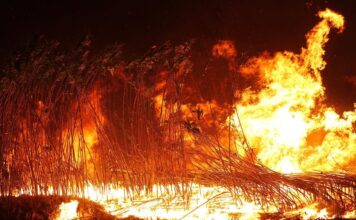 El Govern posa en marxa la campanya «FOC és FOC» per prevenir els incendis forestals abans de Sant Joan
