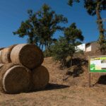 Es crea un itinerari autoguiat a Monells per explicar les actuacions del projecte LIFE AgroForAdapt Itinerari_LIFEAgroForAdapt_1