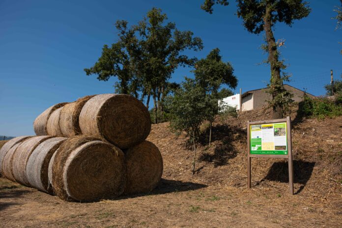 Itinerari_LIFEAgroForAdapt_1