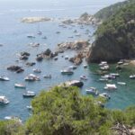 SOS Costa Brava s’uneix a una coalició d’organitzacions per exigir una regulació més estricta del litoral