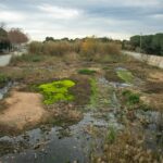 La Diputació de Girona redacta plans estratègics en 4 municipis de la conca del Ridaura per a la conservació natural diputació de girona Ridaura