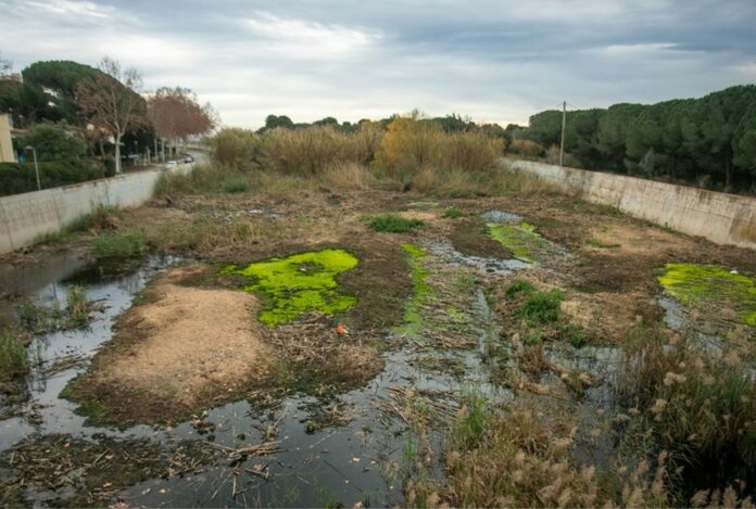 diputació de girona Ridaura